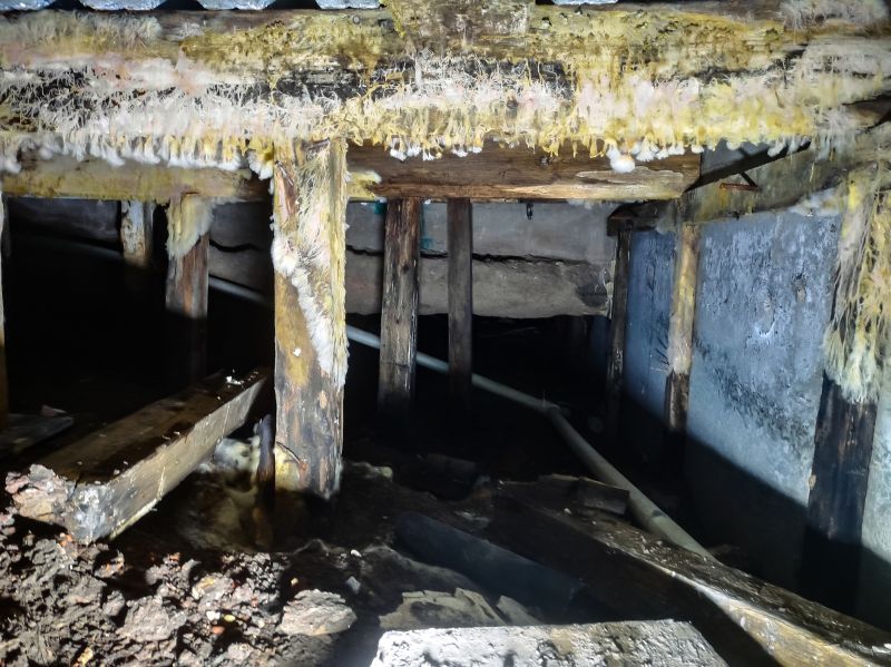 Basement Mold Remediation in Frisco, TX