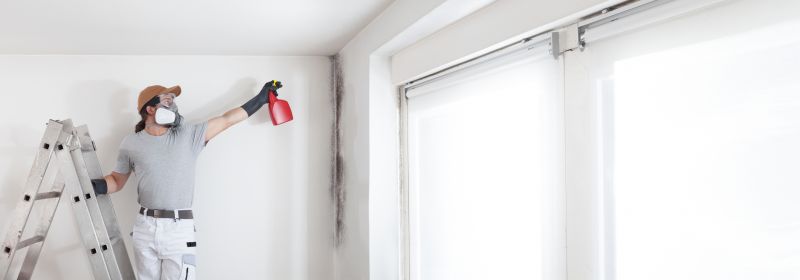 Basement Mold Removal in Frisco, TX