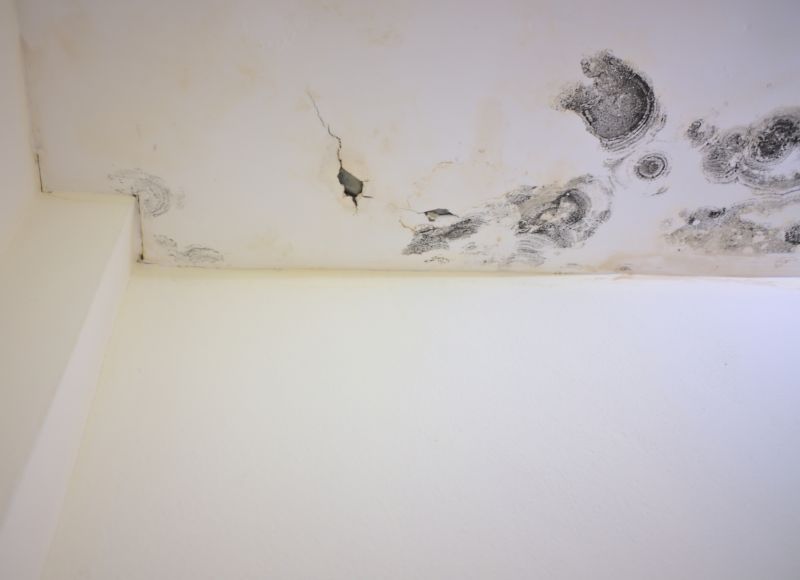 Ceiling Mold Removal in Dallas, TX