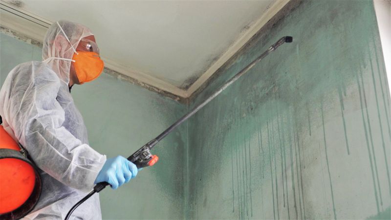 Crawl Space Mold Removal in Frisco, TX