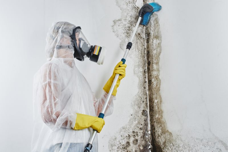 Crawlspace Mold Remediation in Fort Worth, TX