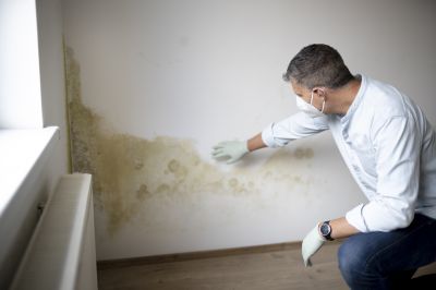 Crawlspace Mold Remediation in Frisco, TX
