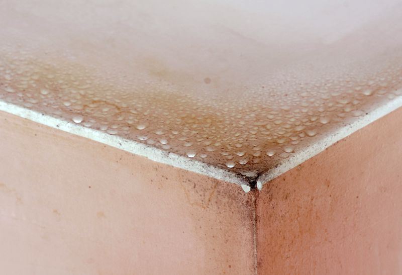 Garage Mold Remediation in West Palm Beach, FL