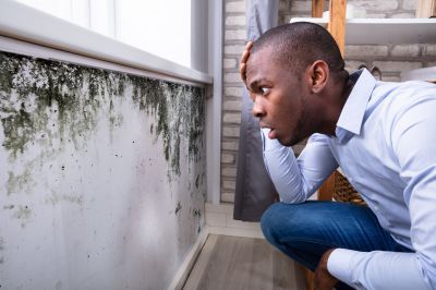 Mold Detection in Denton, TX