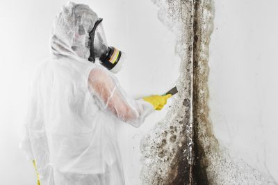 Mold Mitigation Service in Bergen County, NJ