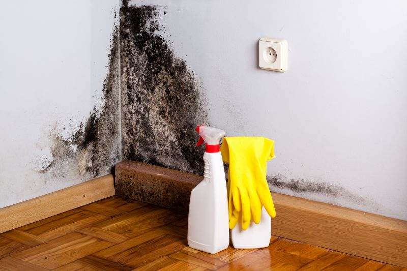 Mold Mitigation Service in Broward County, FL
