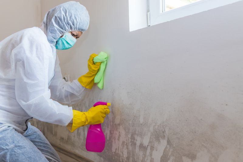 Mold Restoration in Dallas, TX