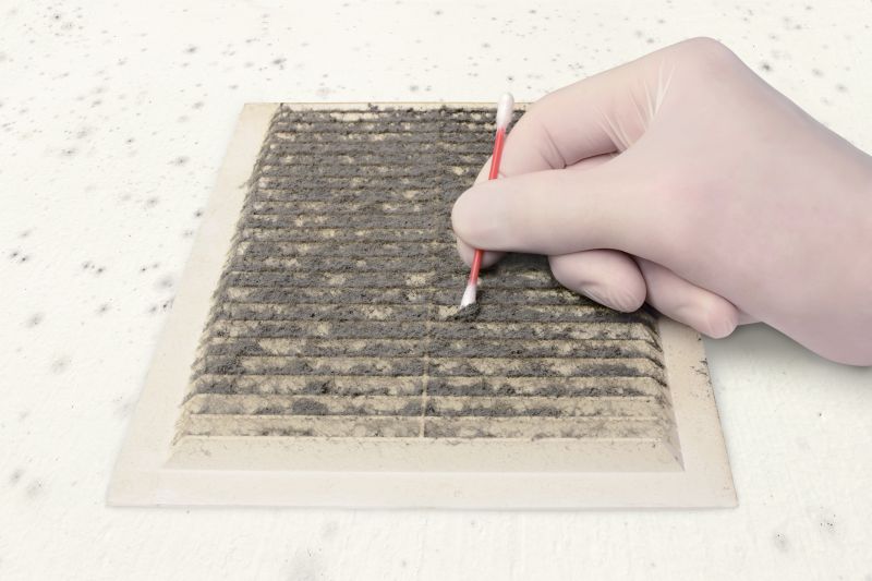 Air Duct Mold Removal in Fort Lauderdale, FL