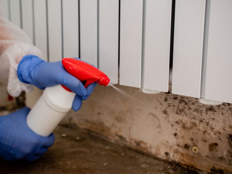 Air Duct Mold Removal in Fort Lauderdale, FL
