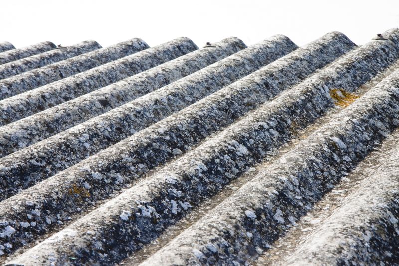 Asbestos Inspection Service in Monmouth County, NJ