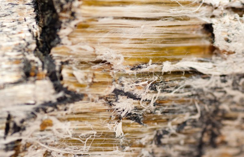 Asbestos Mitigation in Morris County, NJ