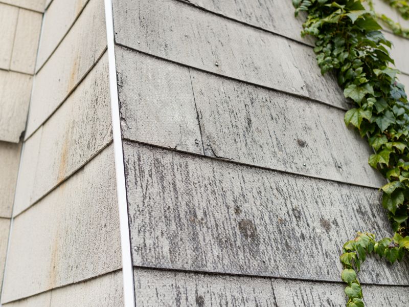 Asbestos Remediation in Freehold, NJ