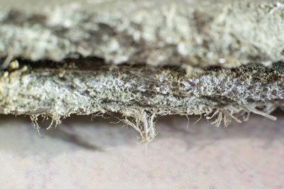 Asbestos Removal in Freehold, NJ