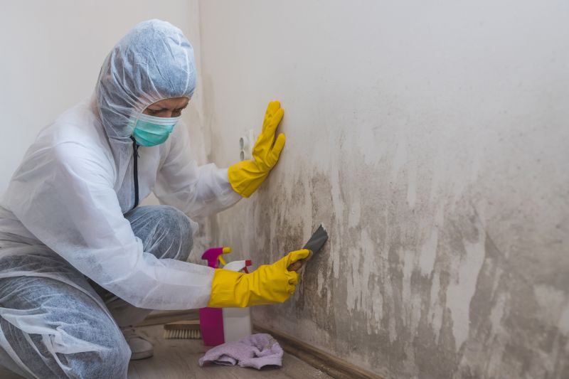 Attic Mold Removal in Fort Worth, TX