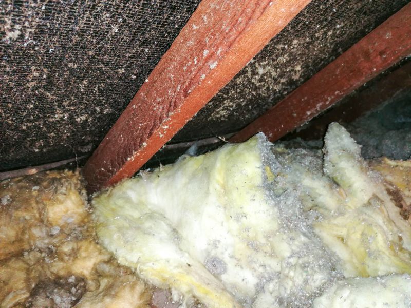 Basement Asbestos Removal in Freehold, NJ