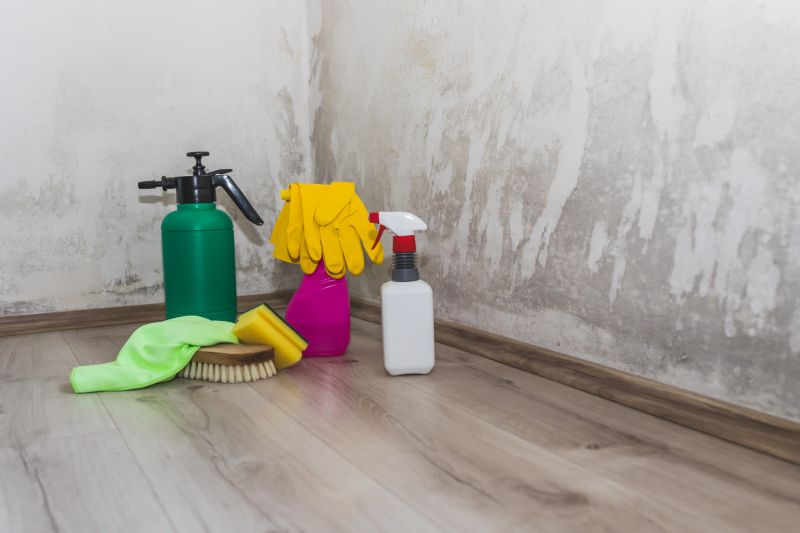 Basement Mold Remediation in Jupiter, FL