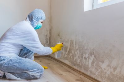 Basement Mold Removal in Dallas, TX