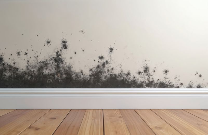 Basement Mold Removal in West Palm Beach, FL