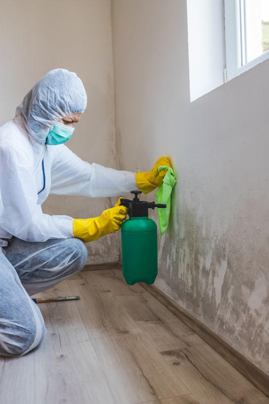 Basement Mold Removal in Frisco, TX
