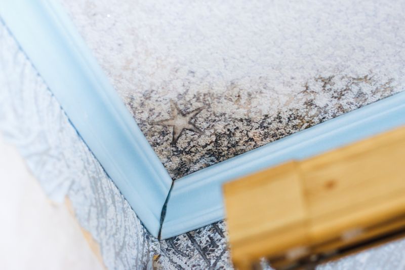 Black Mold Remediation in Bergen County, NJ