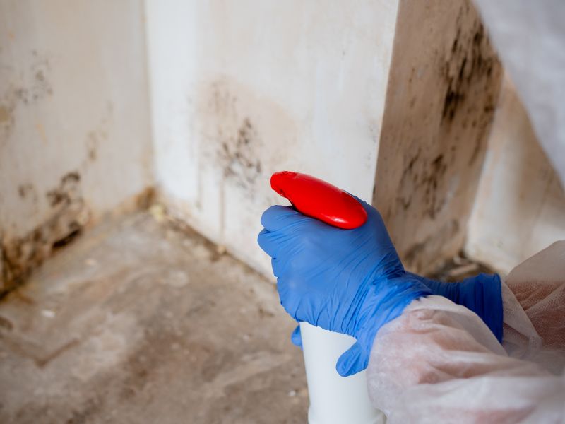 Black Mold Remediation in Fort Worth, TX