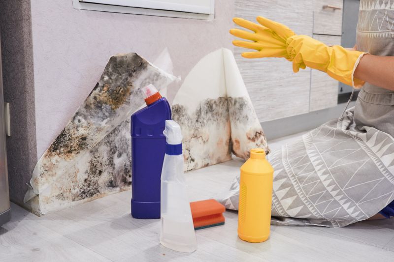 Black Mold Remediation in Fort Lauderdale, FL
