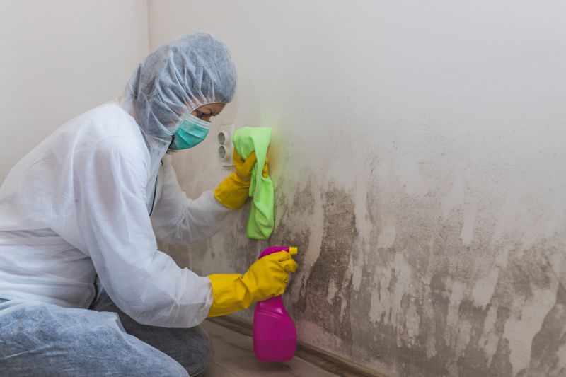 Black Mold Remediation in Frisco, TX