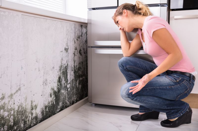 Black Mold Removal in Dallas, TX