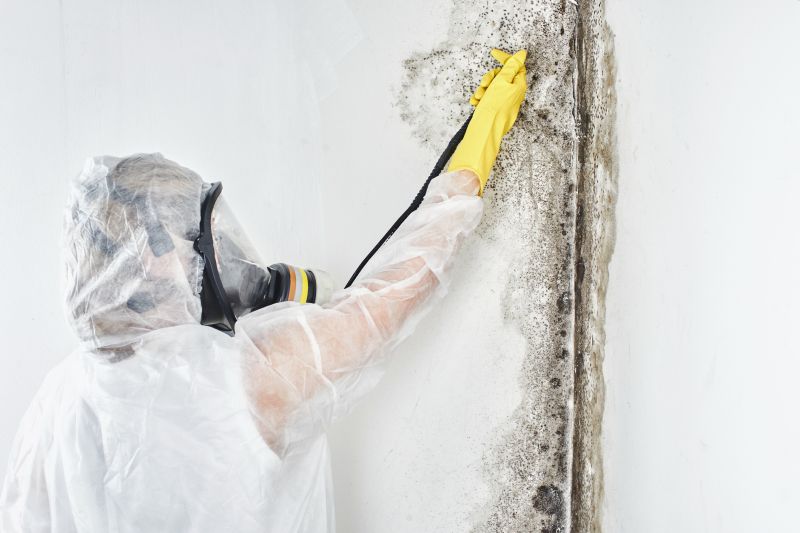 Black Mold Removal in Denton, TX