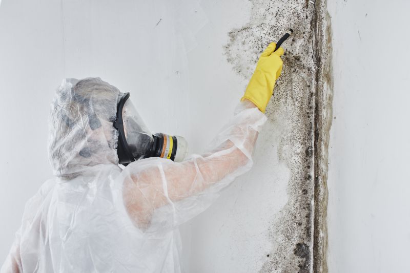 Black Mold Removal in Jupiter, FL