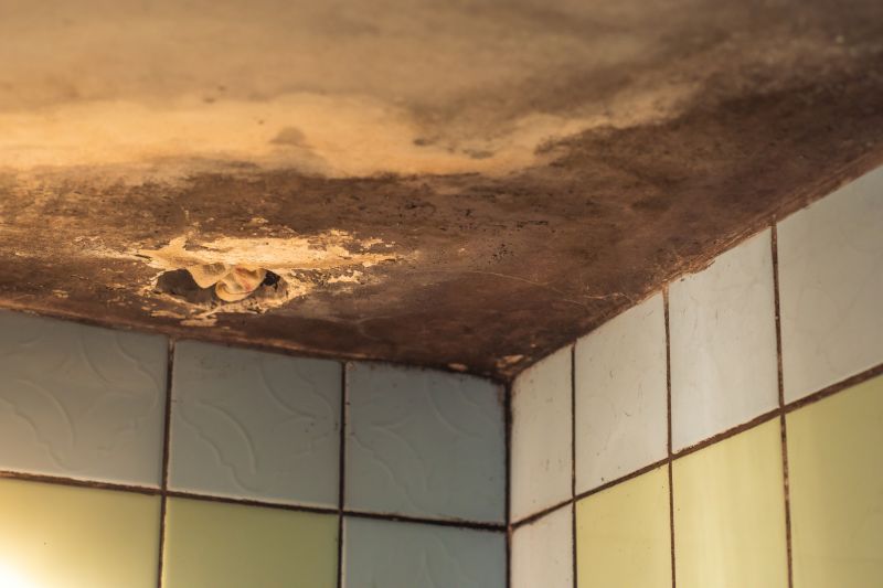 Ceiling Mold Removal in Dallas, TX