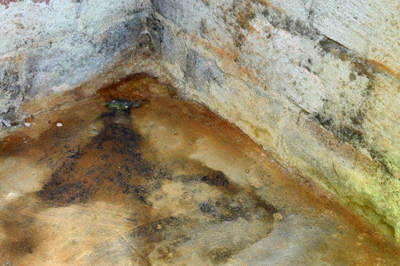 Crawl Space Mold Removal in Frisco, TX