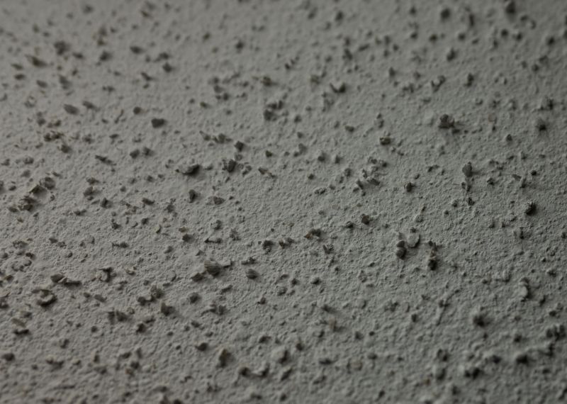 Popcorn Ceiling Testing detail