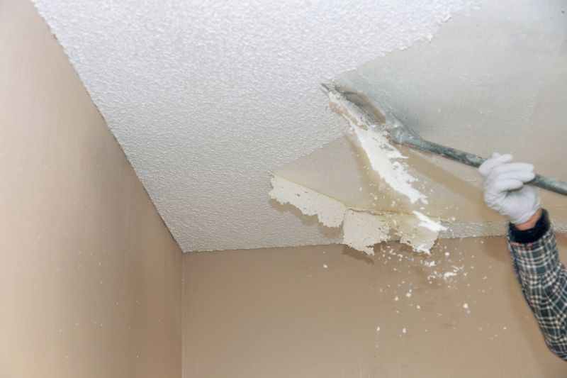 Popcorn Ceiling Testing detail