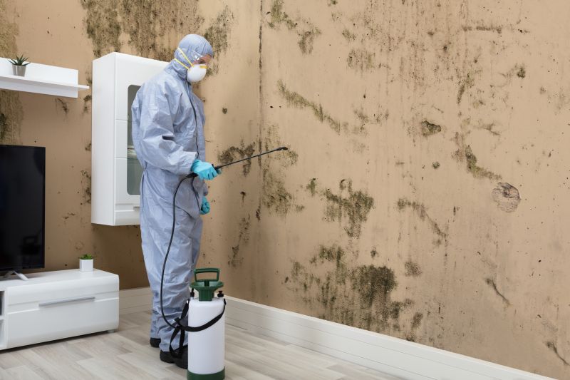 Mold Abatement in Frisco, TX