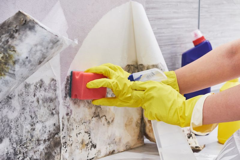 Mold Abatement Service in Fort Worth, TX