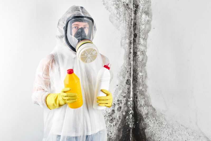 Mold Cleanup Service in Broward County, FL