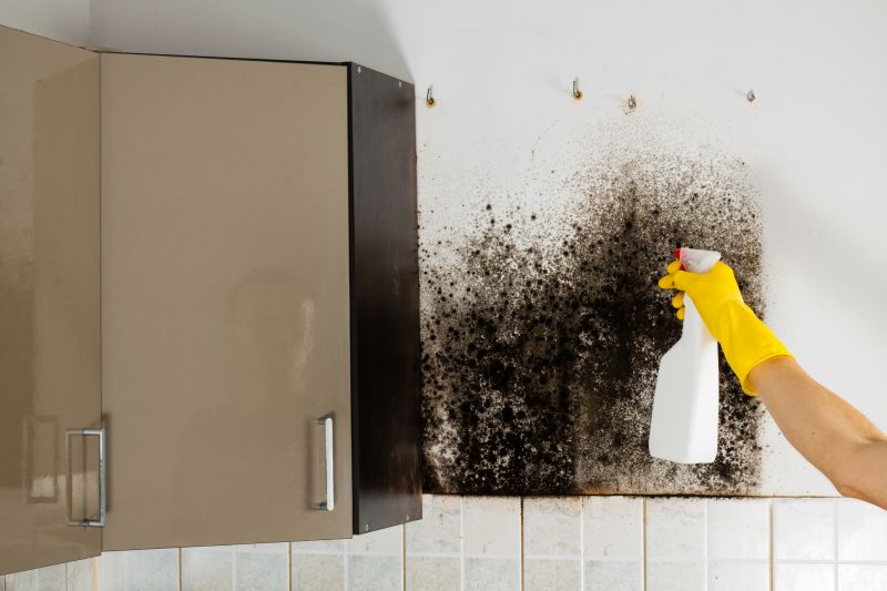 Mold Cleanup Service in Essex County, NJ