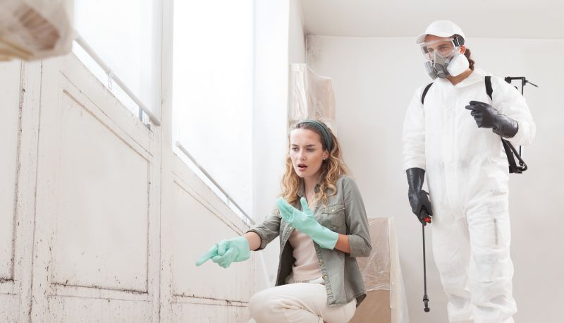 Mold Cleanup Service in Bergen County, NJ
