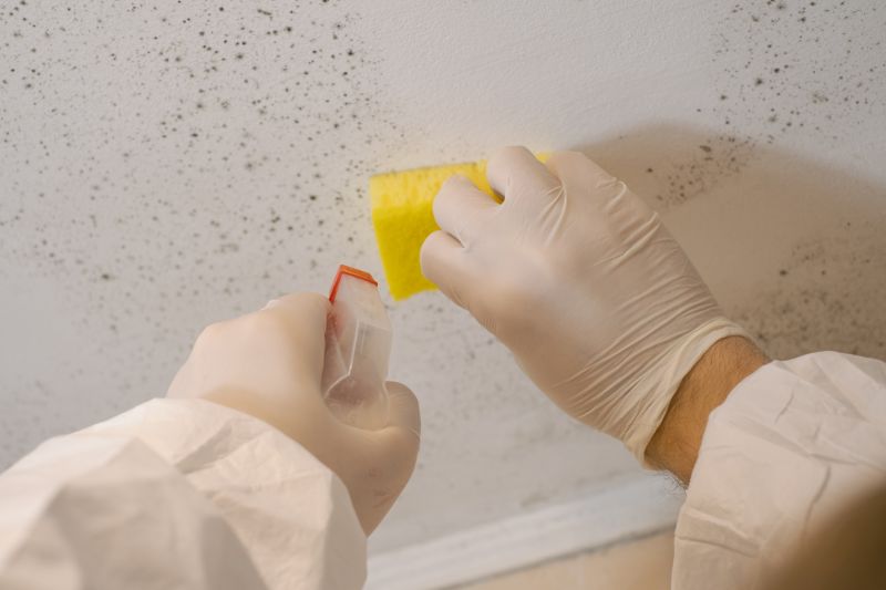 Mold Cleanup Service in Bergen County, NJ