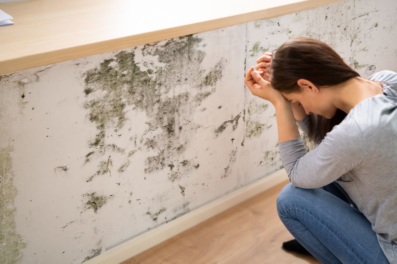 Mold Control in Bergen County, NJ