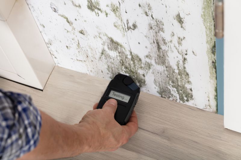 Mold Detection in Jupiter, FL