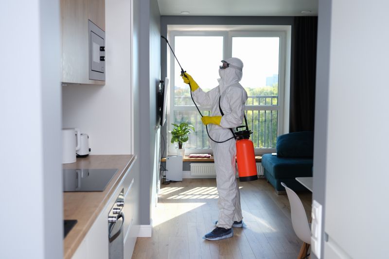Mold Mitigation Service in West Palm Beach, FL