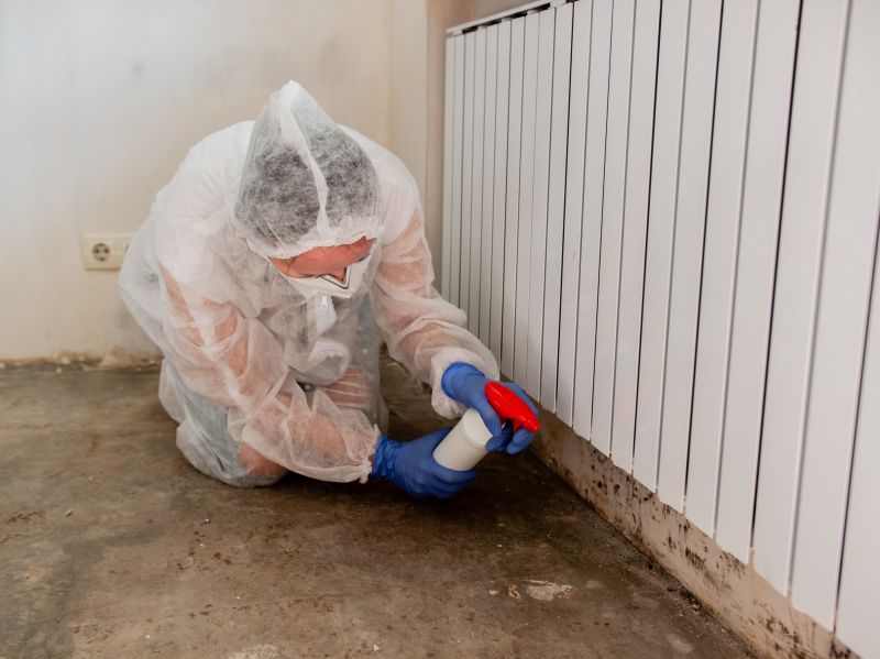 Mold Removal in Broward County, FL