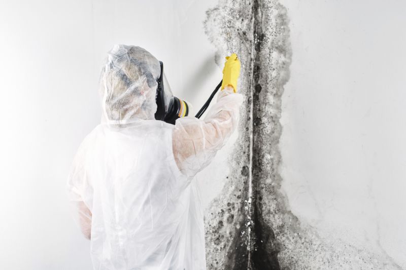 Mold Removal in Dallas, TX