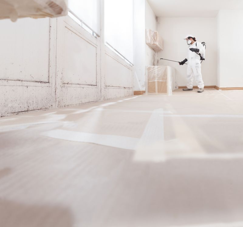 Mold Removal in Fort Worth, TX
