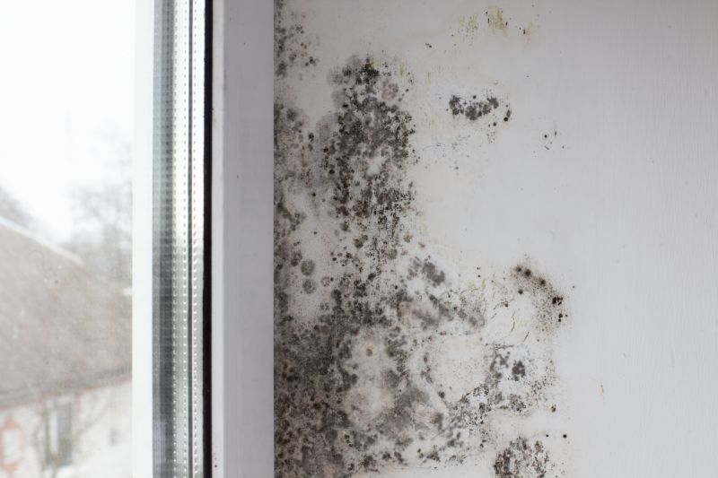 Mold Restoration in Frisco, TX