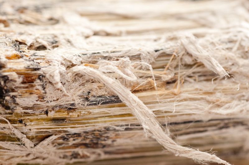 Vermiculite Remediation in Freehold, NJ